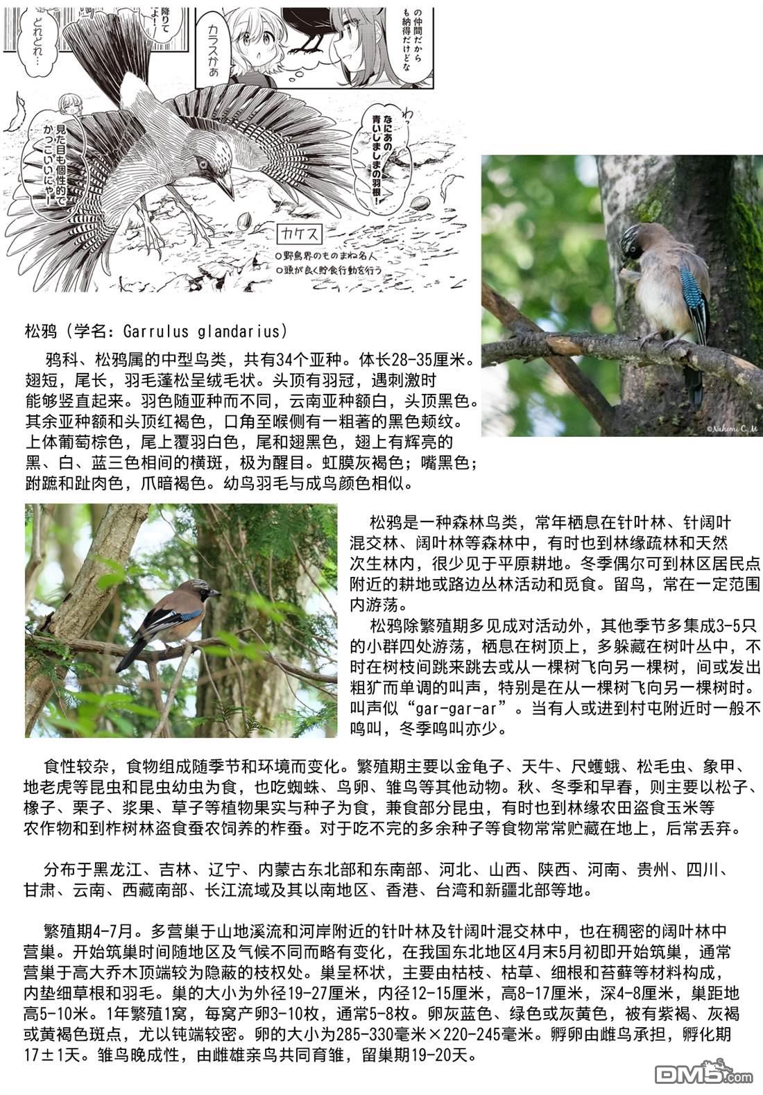 幸福观鸟 - 第46話 - 第10张图