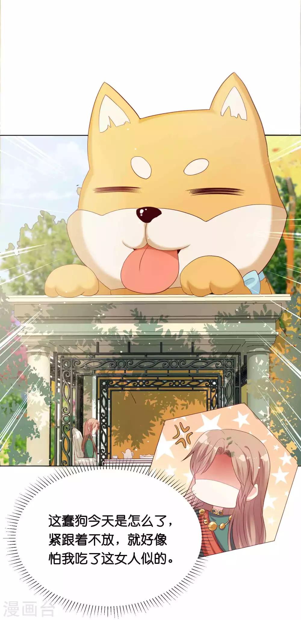 第41话 他是华丽外皮的野兽？-第49话
