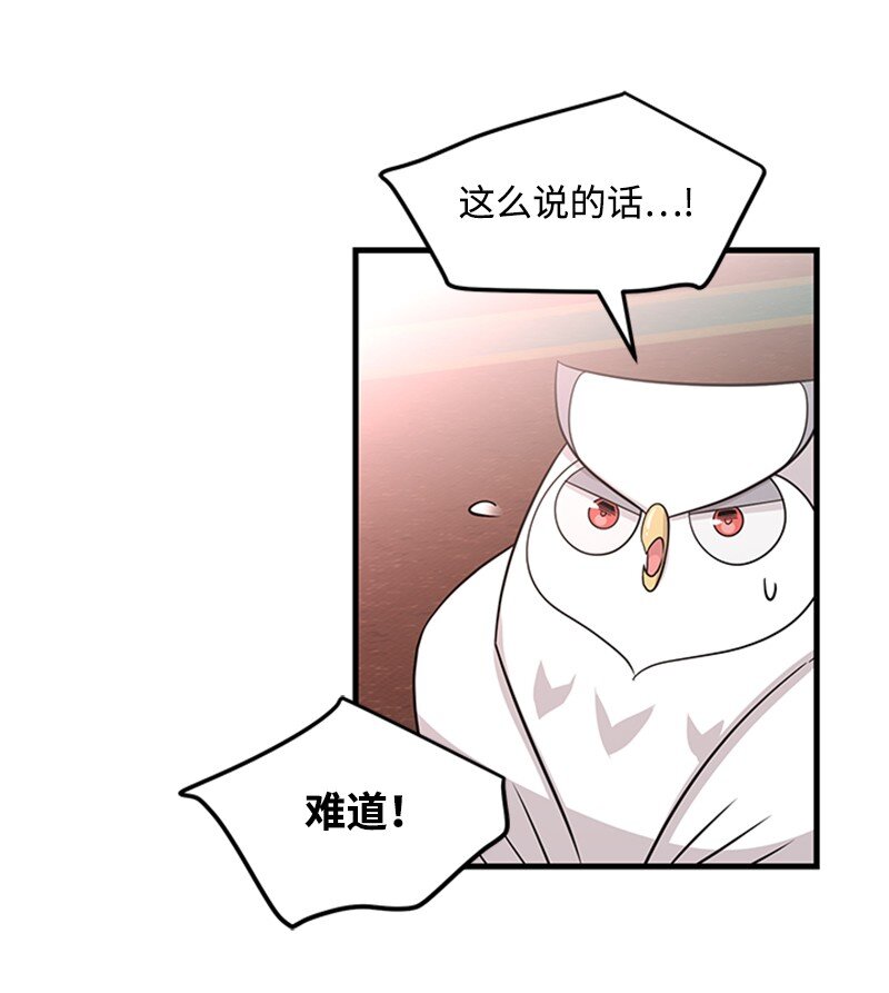 47 贝尔穆特的计划(1/2)-第47话