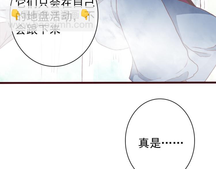 第71话 被他保护的感觉，很好(1/2)-第73话