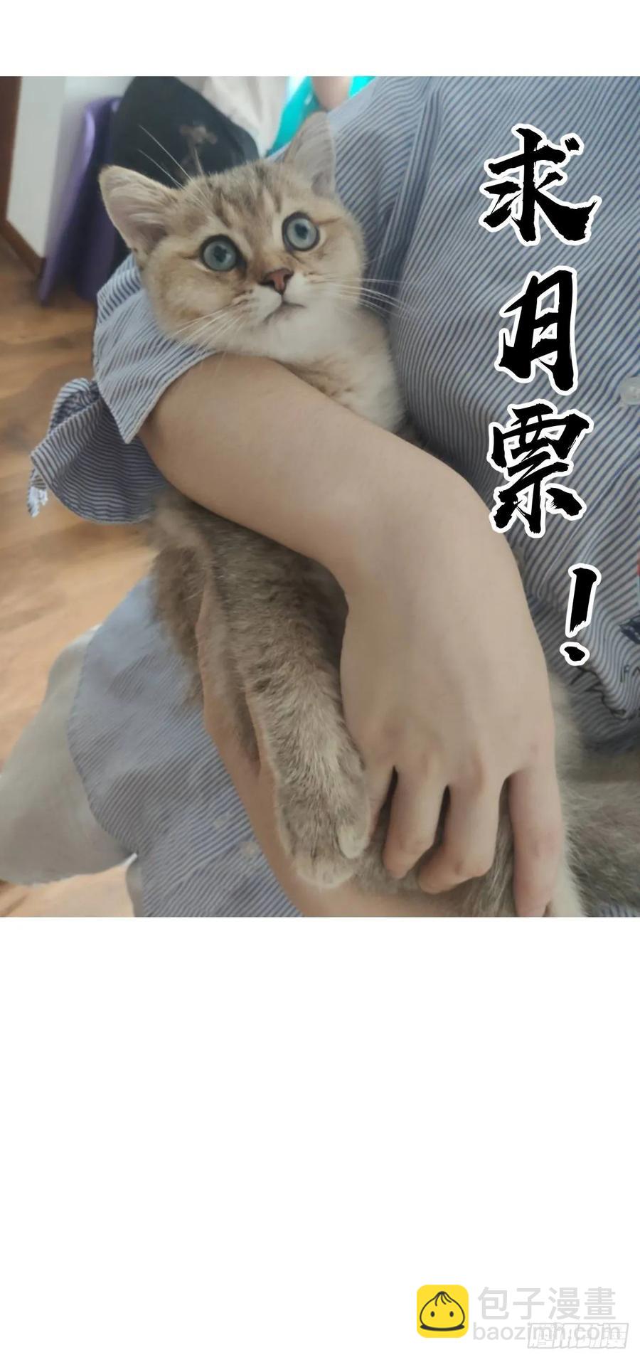 第35话：霸道武魂-第37话