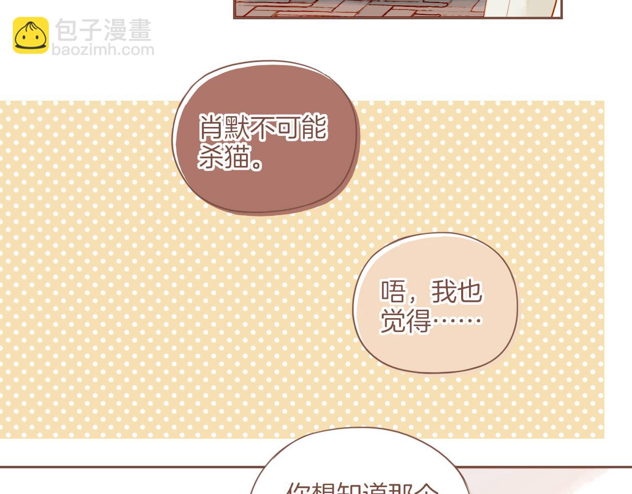 第29话 女孩、侦探、流浪狗（下）(1/2)-第29话