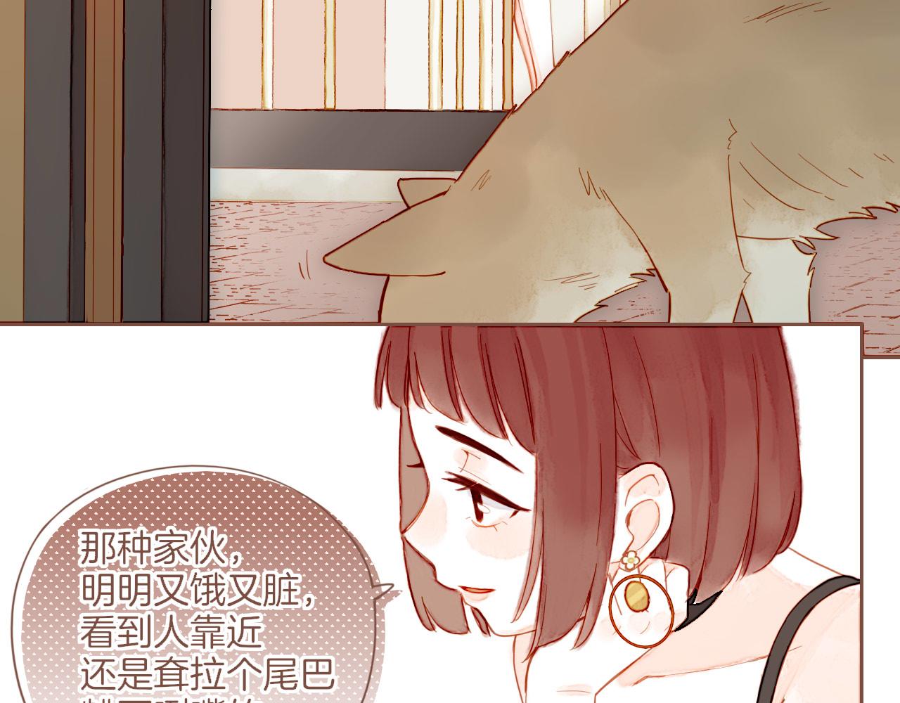 第29话 女孩、侦探、流浪狗（下）(1/2)-第29话