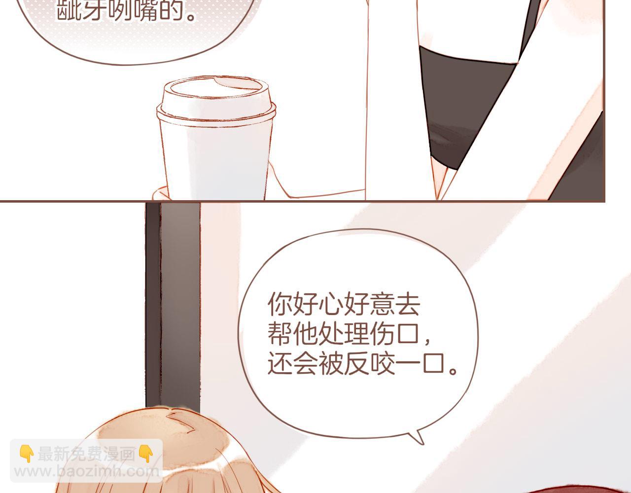 第29话 女孩、侦探、流浪狗（下）(1/2)-第29话