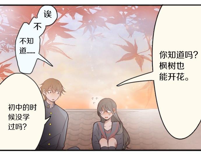 番外 枫叶-第39话