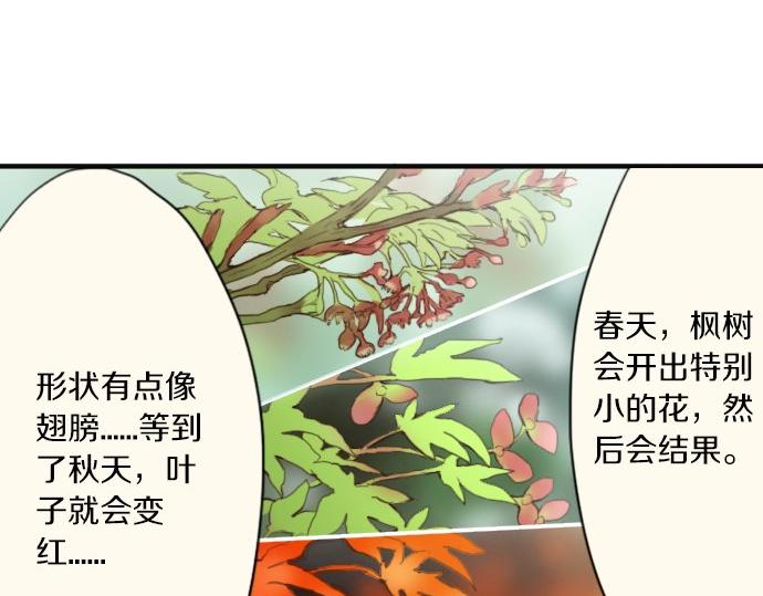 番外 枫叶-第39话