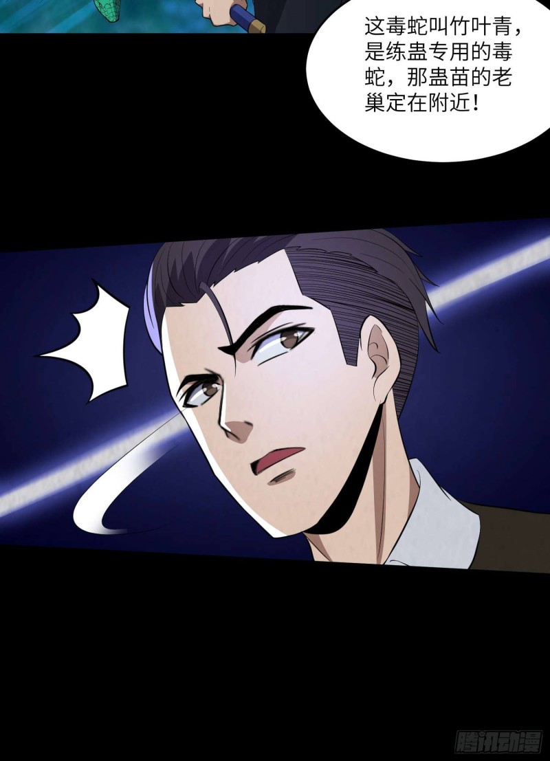 青蛇缠丝(1/2)-第95话