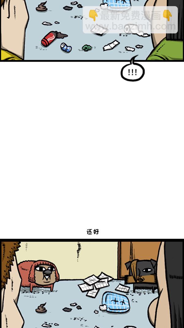 🍚心灵的声音 [第251话] 小狗当家 第15页