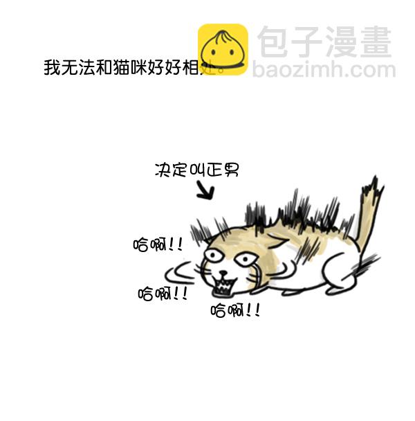 🍚心灵的声音 补充篇 [371话] 金正男 冈萨雷斯 格雷罗 第4页