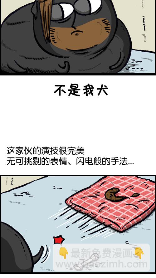 🍚心灵的声音 [第73话] 狗竞争 第5页