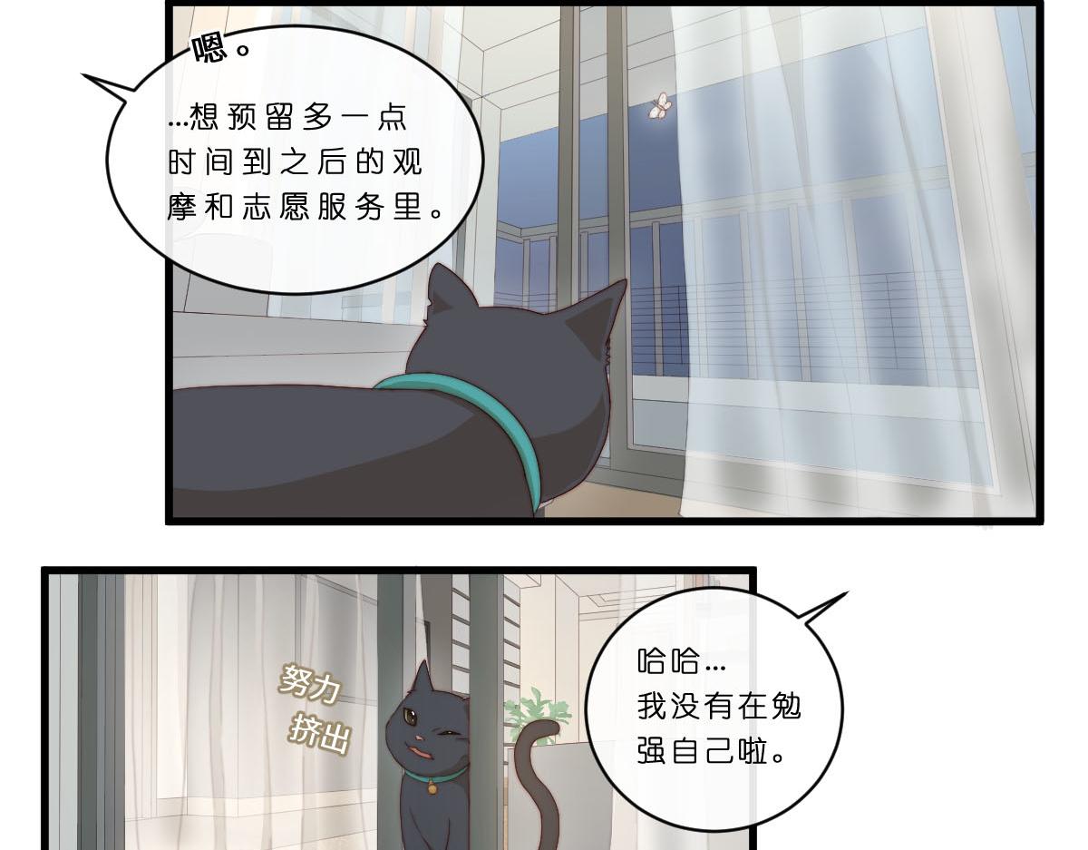 29.掉，掉喵啦！（^⊙▃⊙^)-第33话