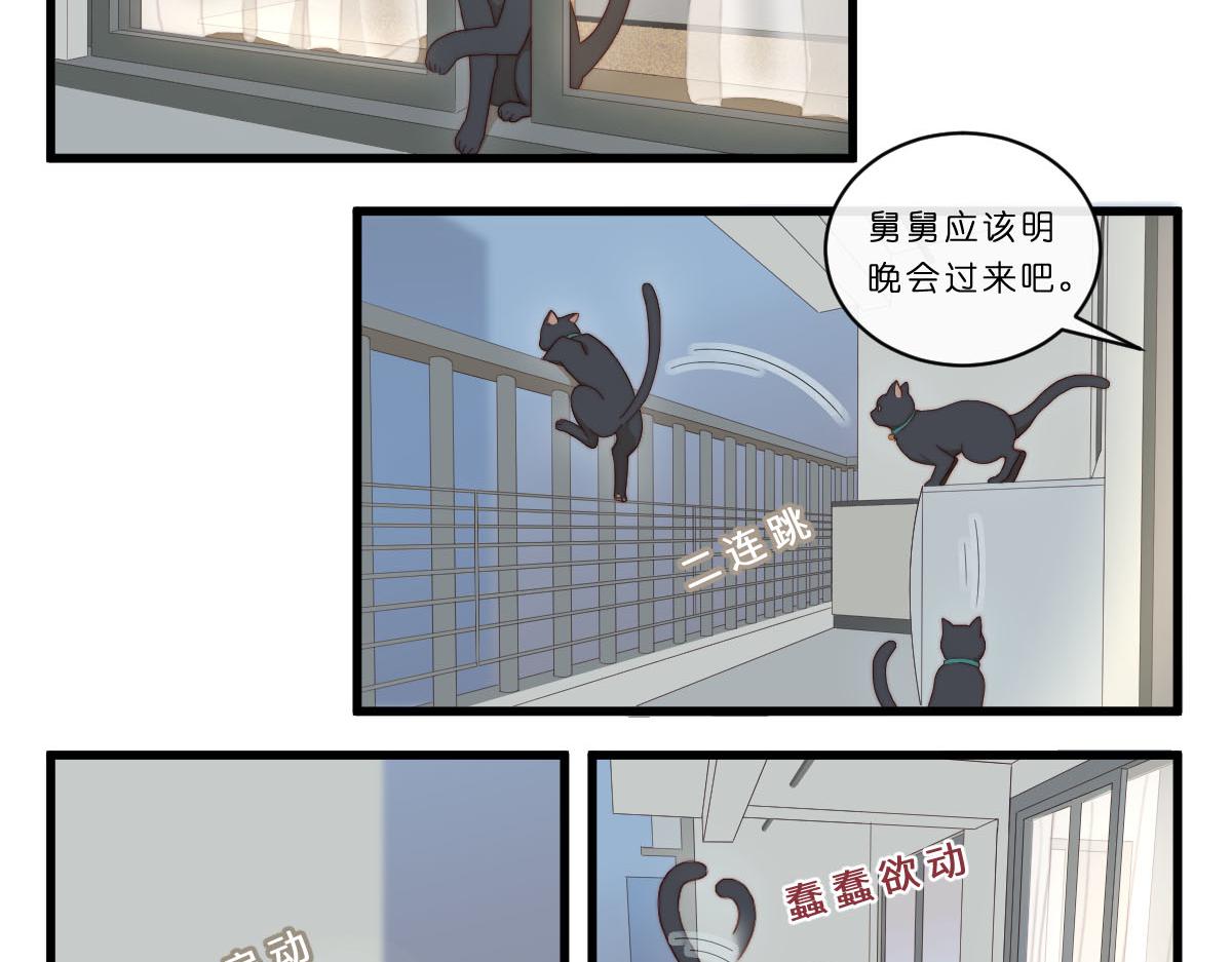 29.掉，掉喵啦！（^⊙▃⊙^)-第33话
