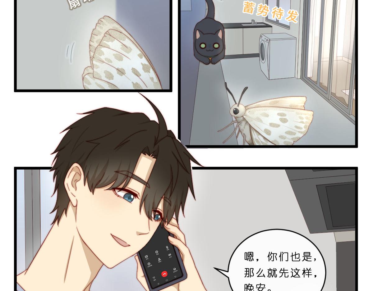 29.掉，掉喵啦！（^⊙▃⊙^)-第33话
