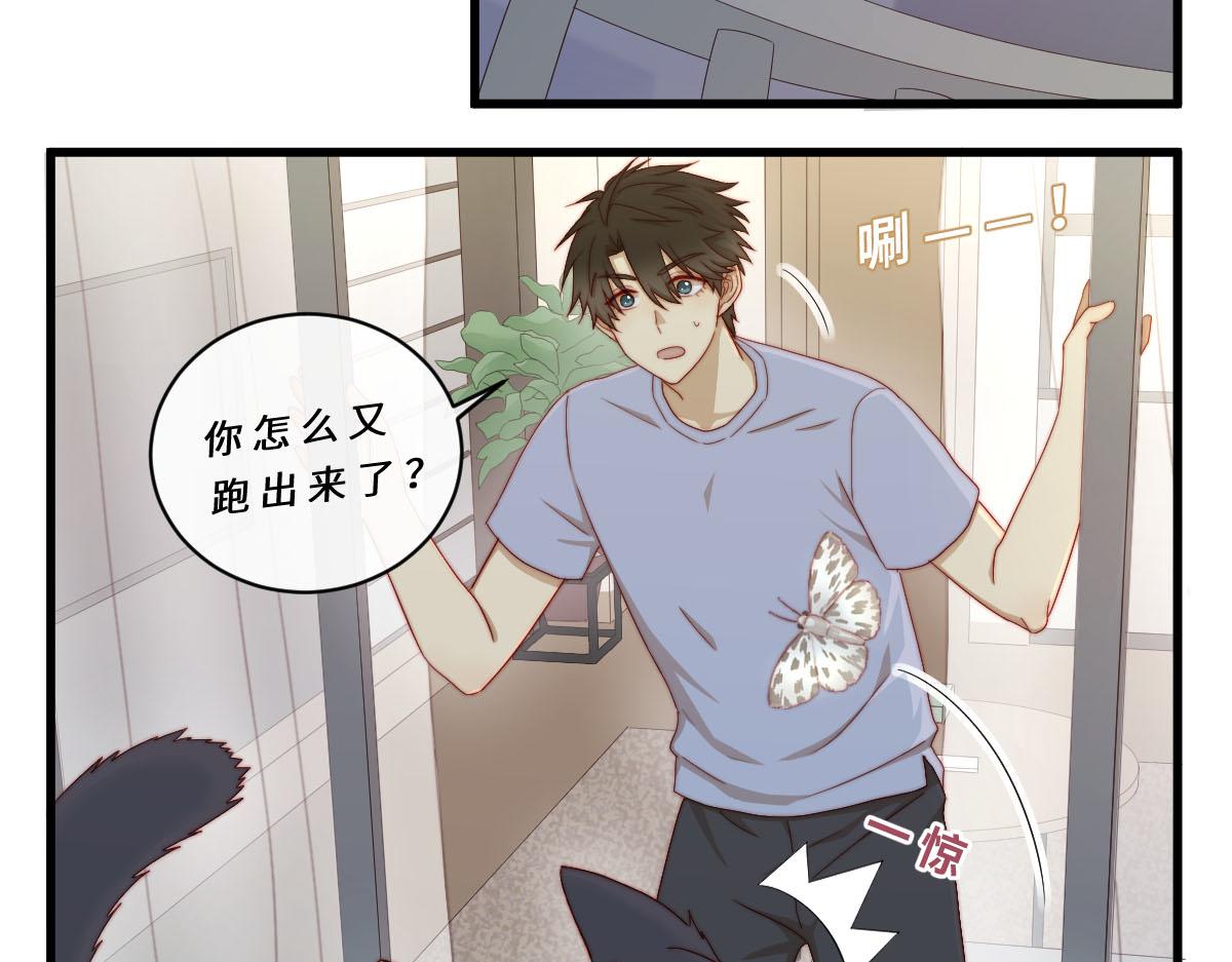 29.掉，掉喵啦！（^⊙▃⊙^)-第33话