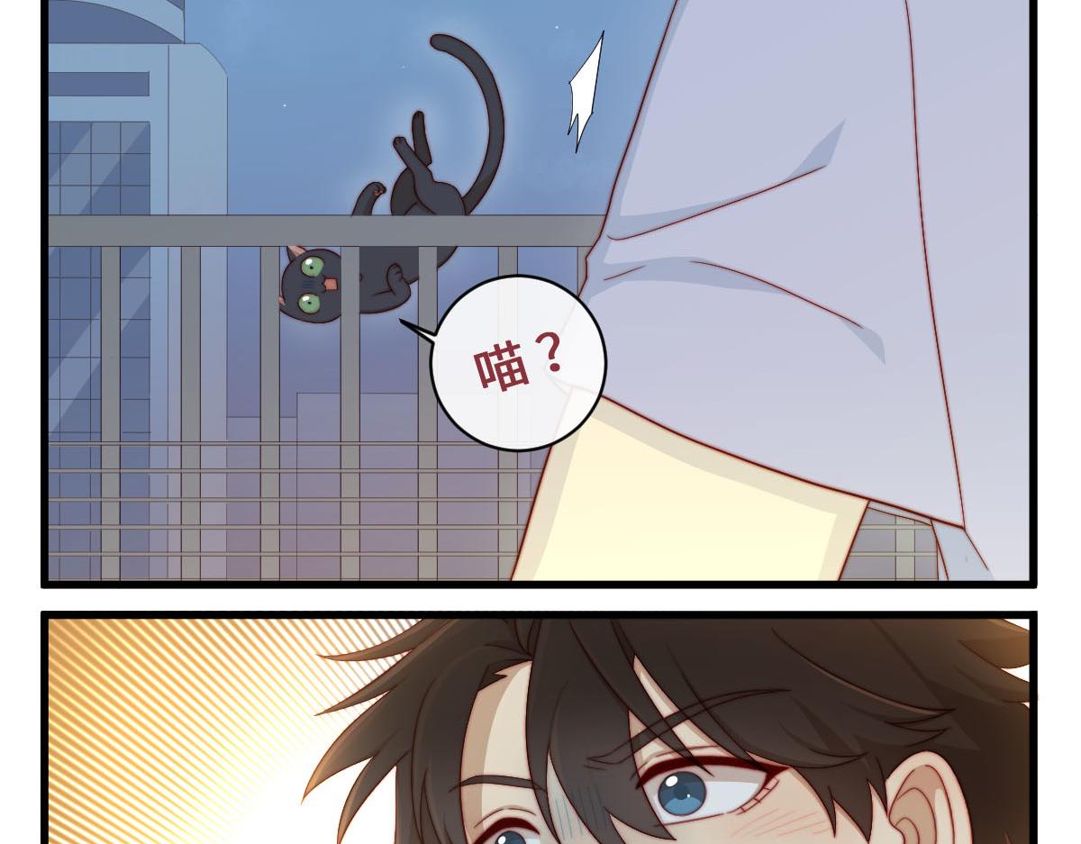 29.掉，掉喵啦！（^⊙▃⊙^)-第33话