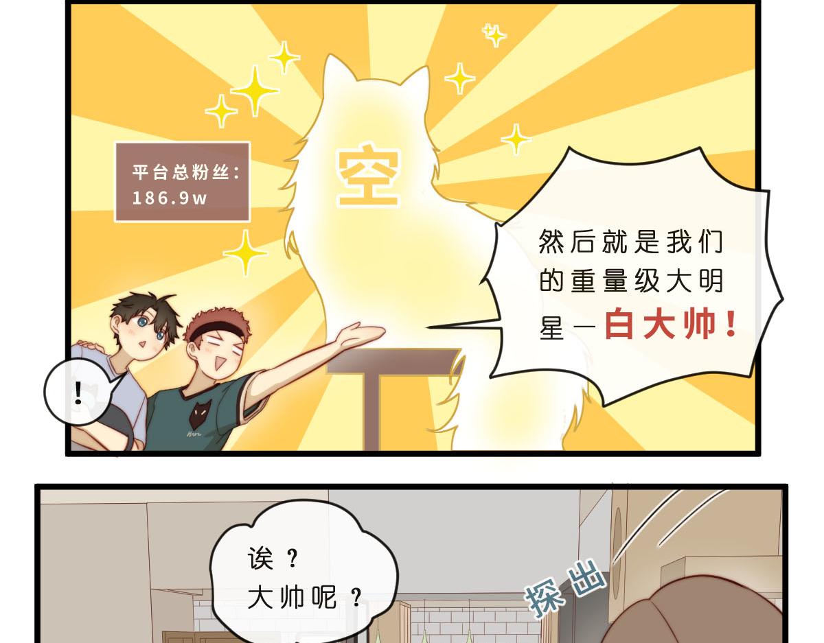 35.猫明星-第39话