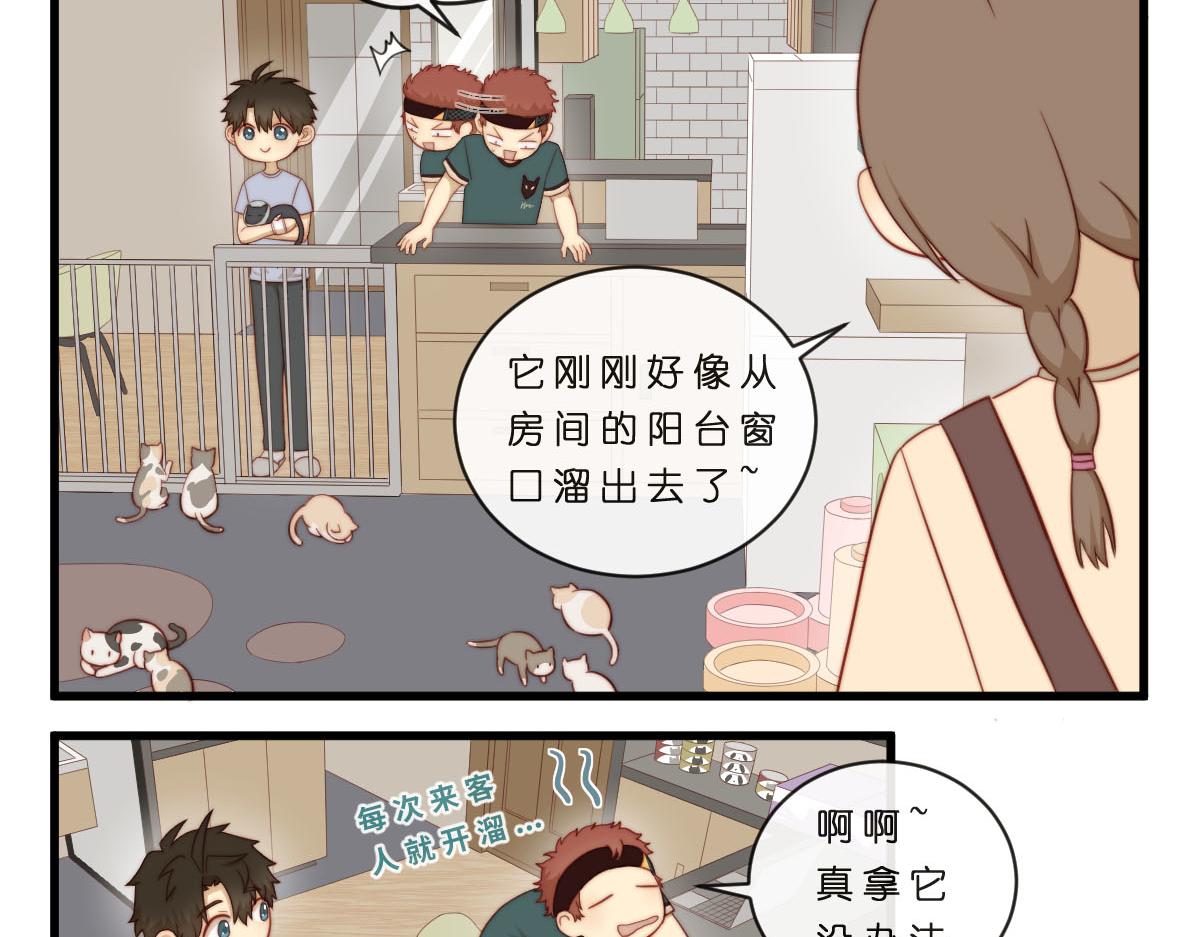 35.猫明星-第39话