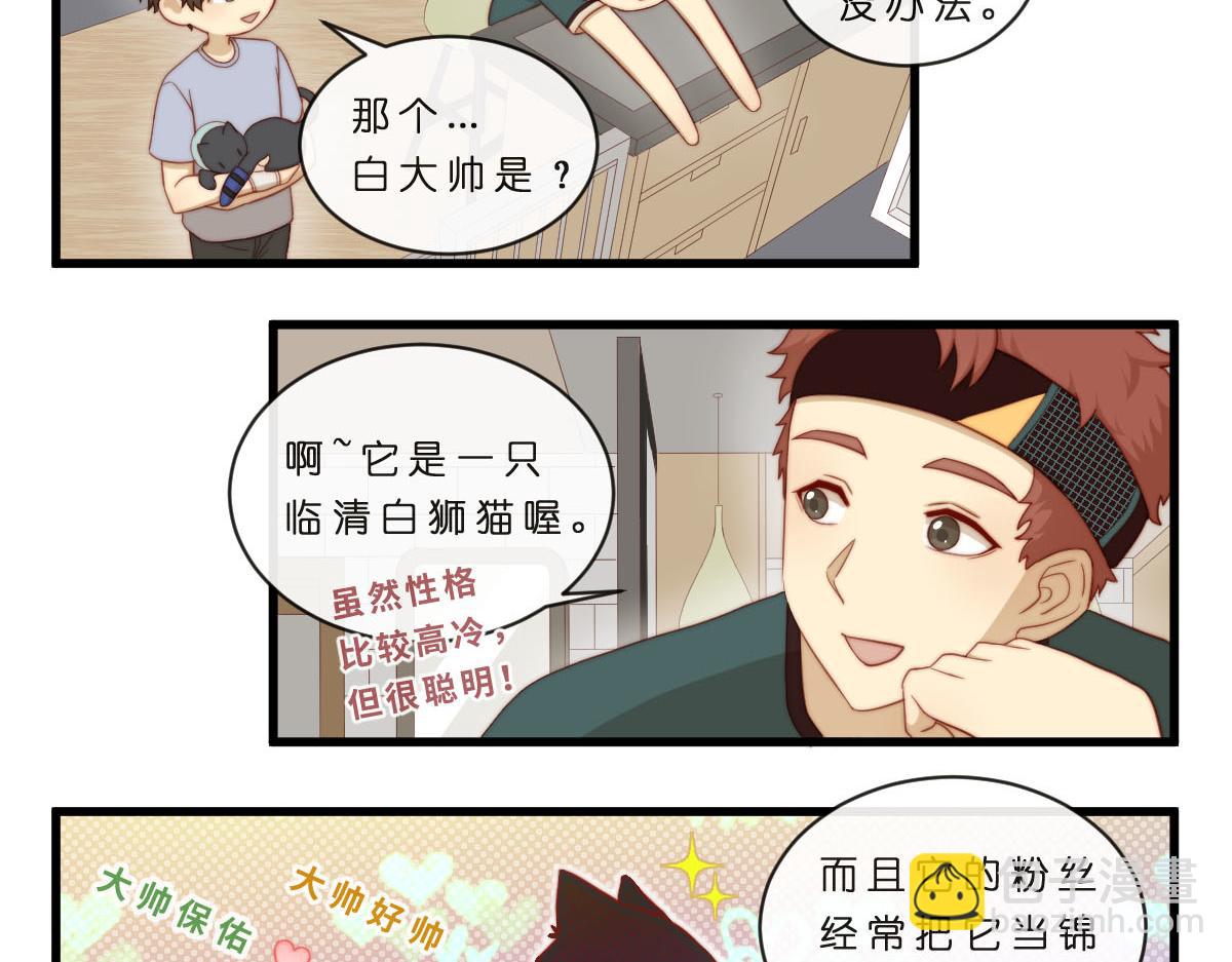35.猫明星-第39话