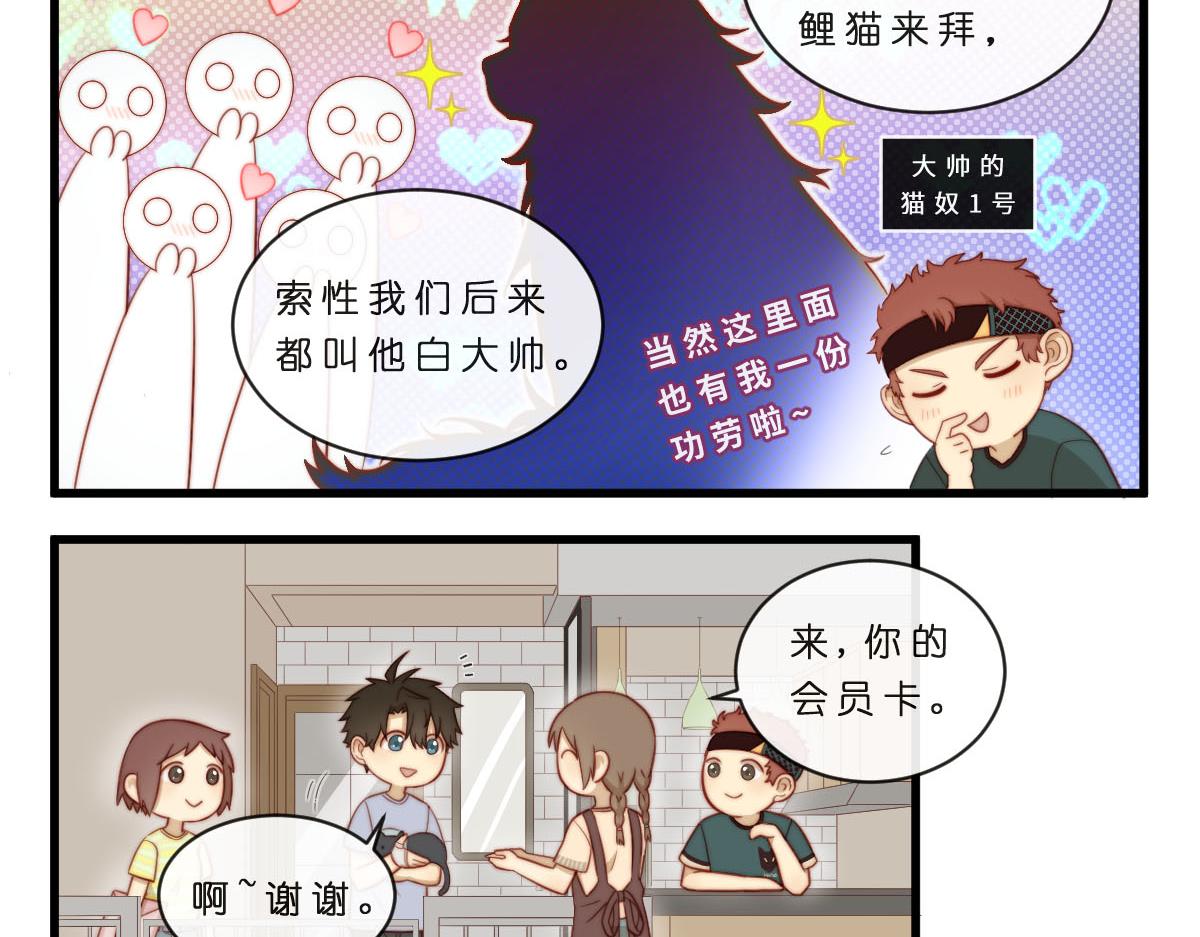 35.猫明星-第39话