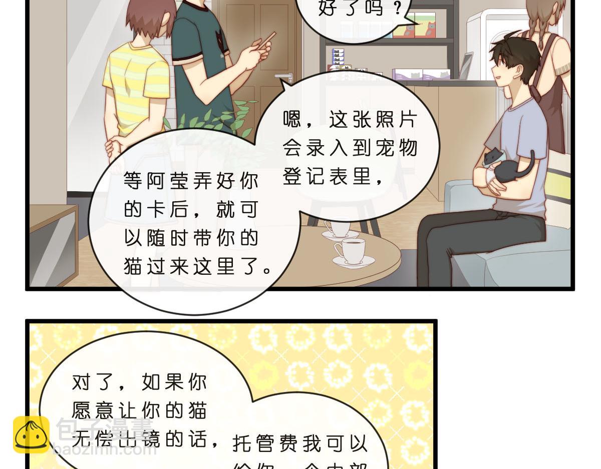 35.猫明星-第39话