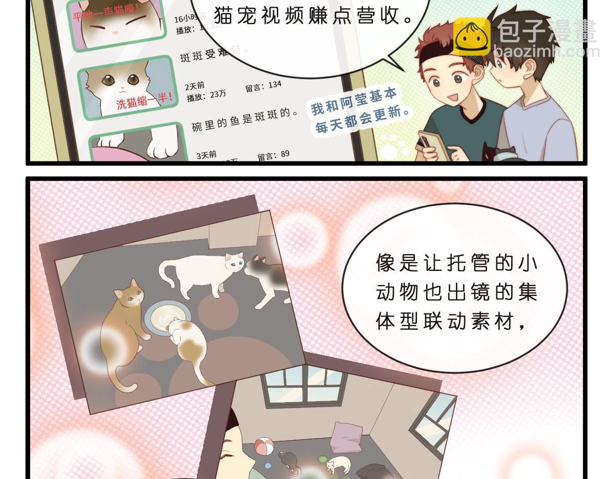 35.猫明星-第39话