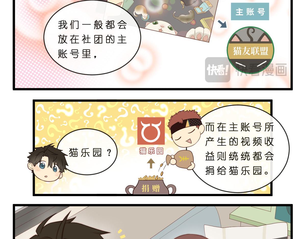 35.猫明星-第39话