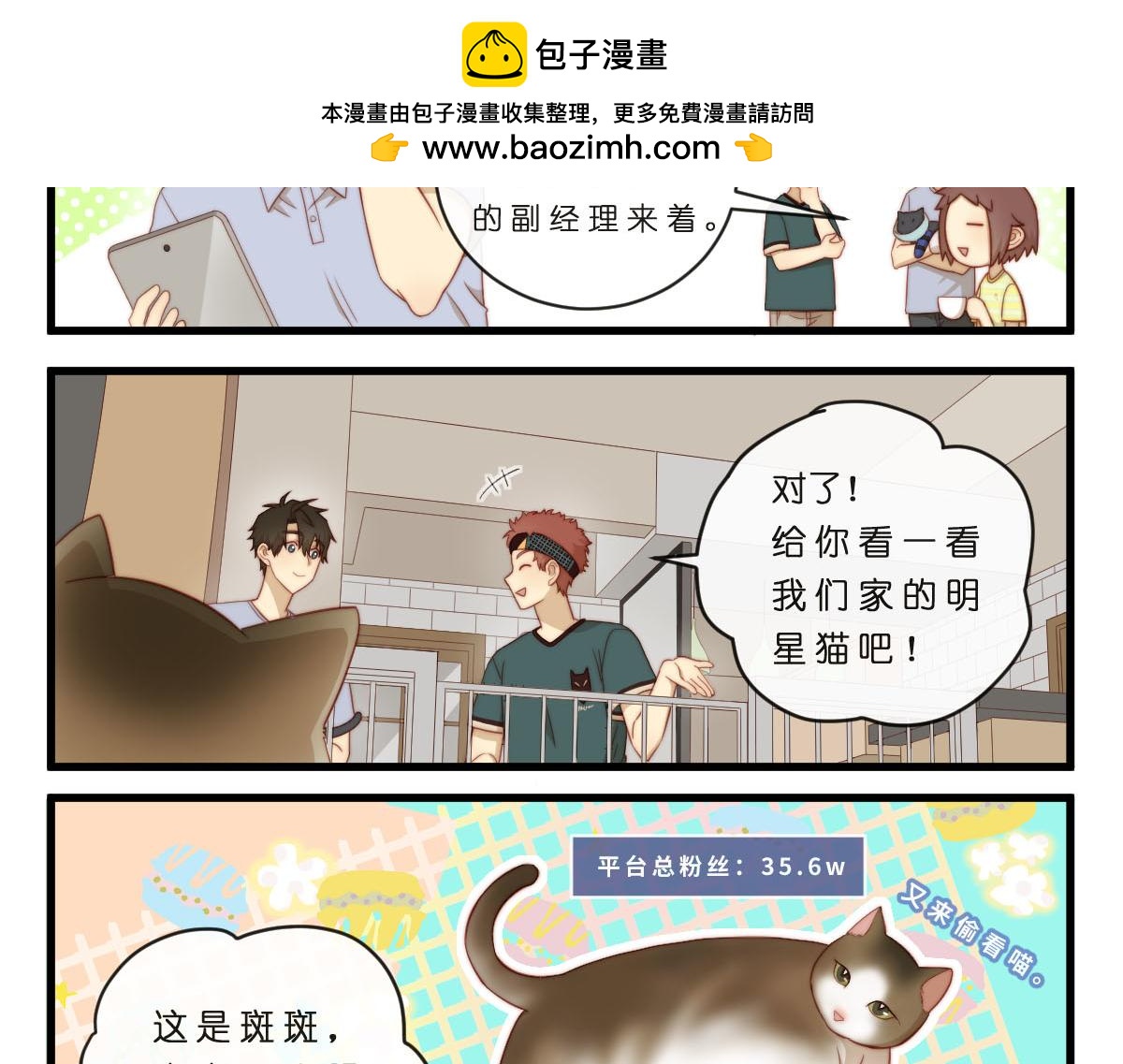 35.猫明星-第39话