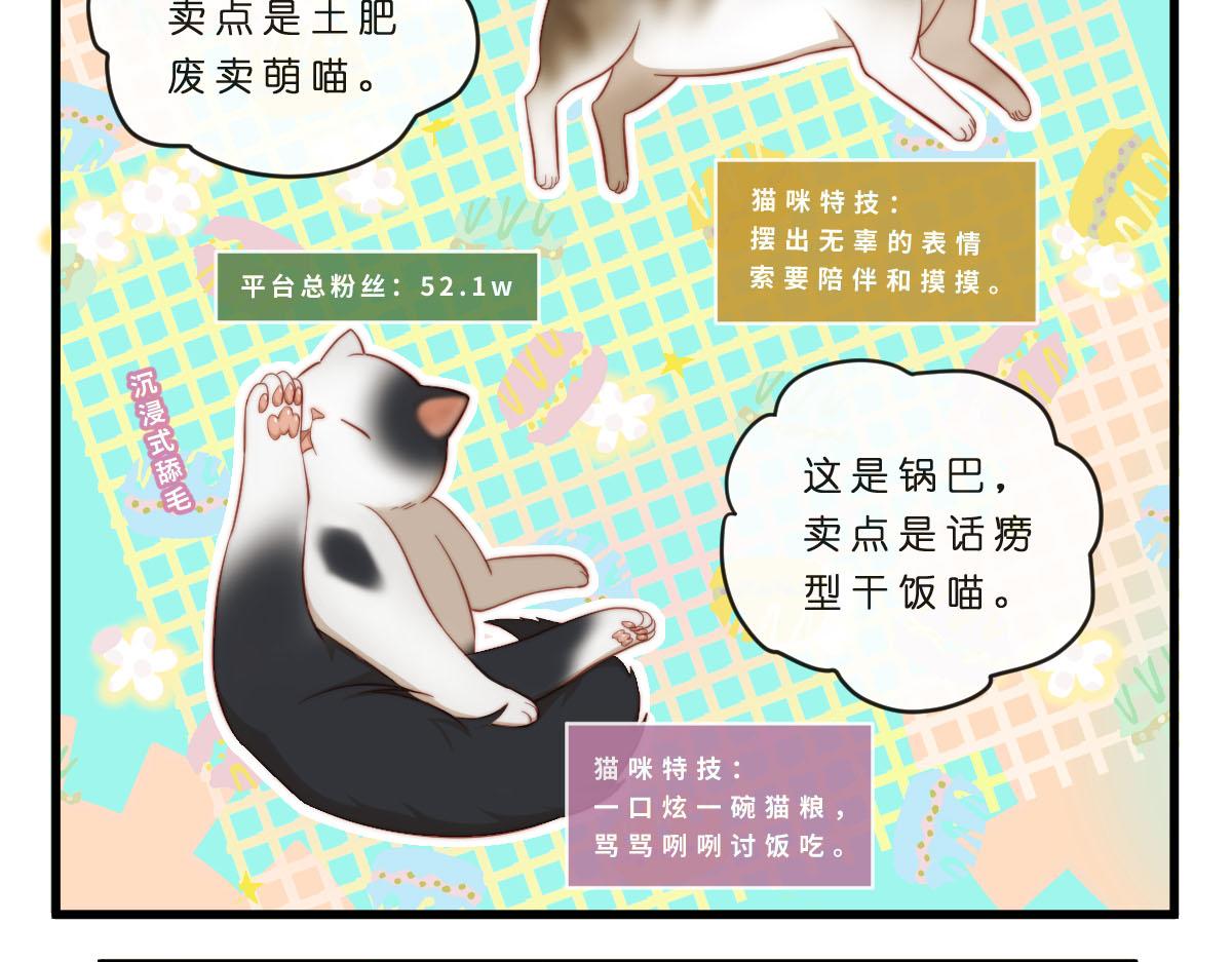 35.猫明星-第39话