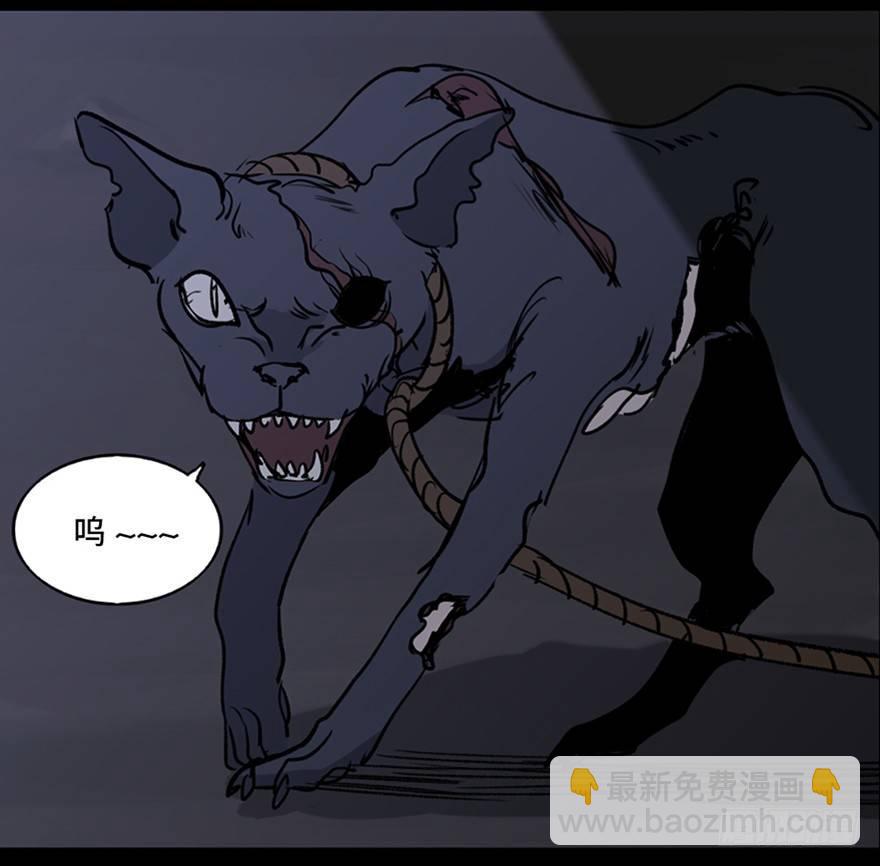 第一零五话&middot;僵尸猫(1/3)-第105话