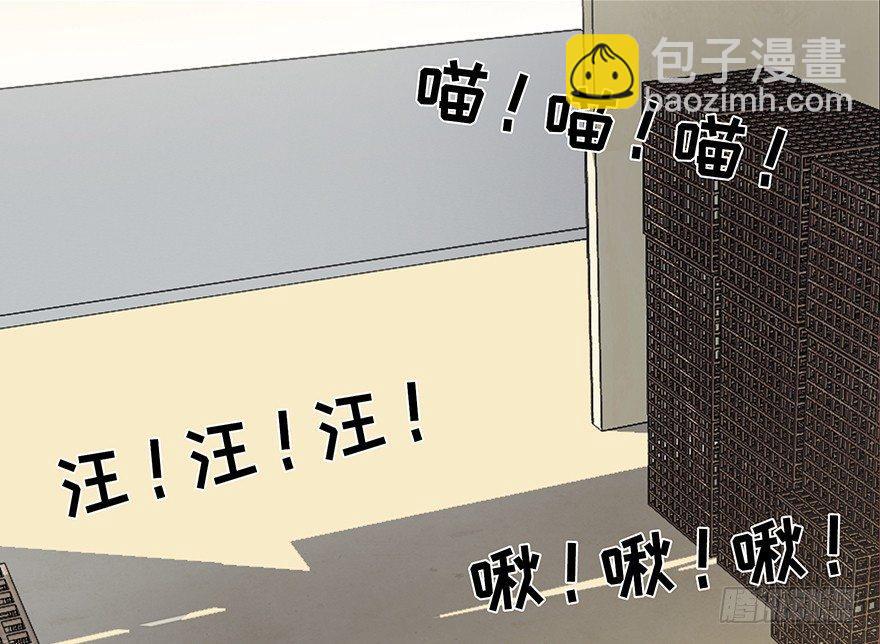第三十话&middot;宠物商(1/3)-第29话