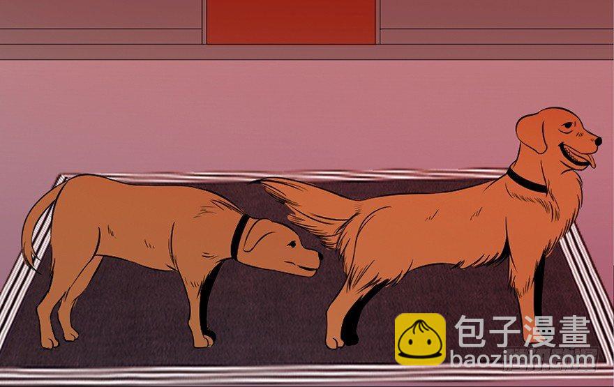 第三十话&middot;宠物商(1/3)-第29话
