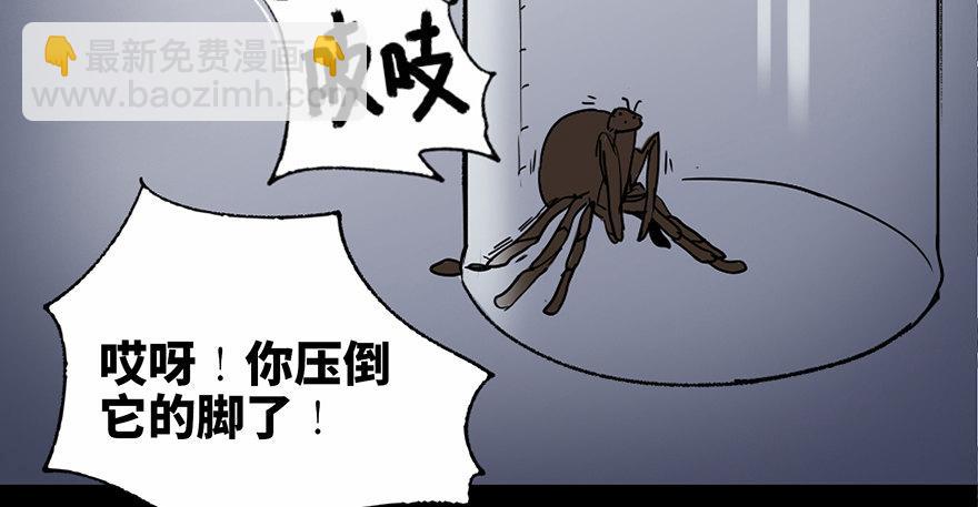 第三十四话&middot;动物保护(1/3)-第33话
