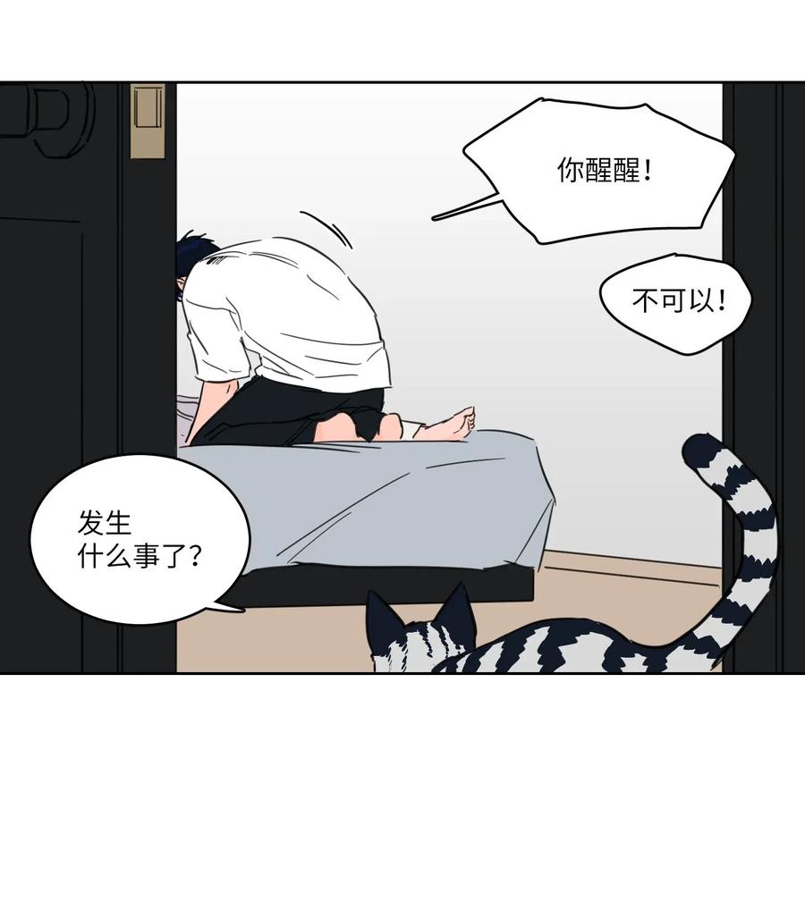 19 取珍珠-第19话