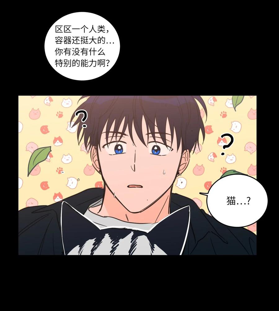 41 特别的力量-第41话