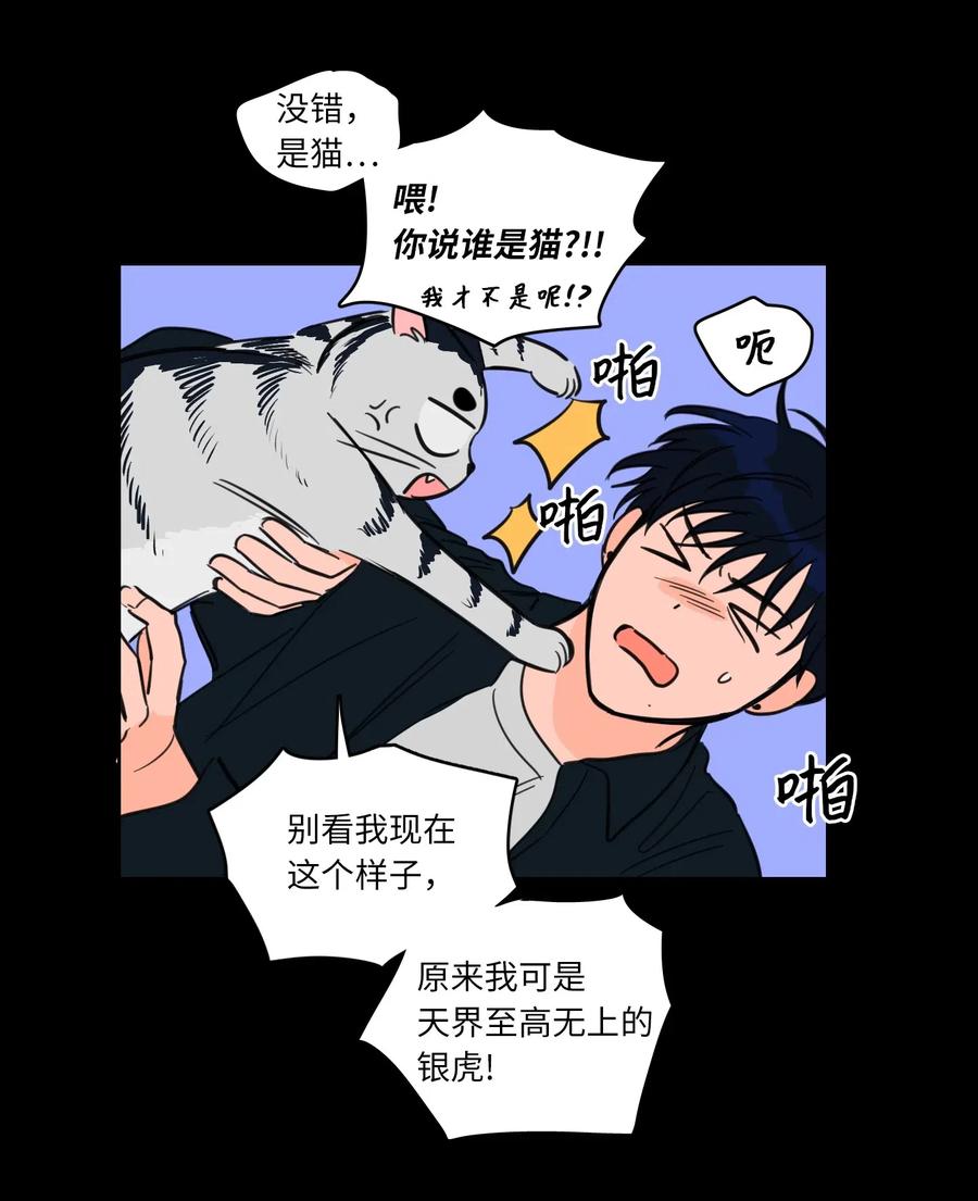 41 特别的力量-第41话