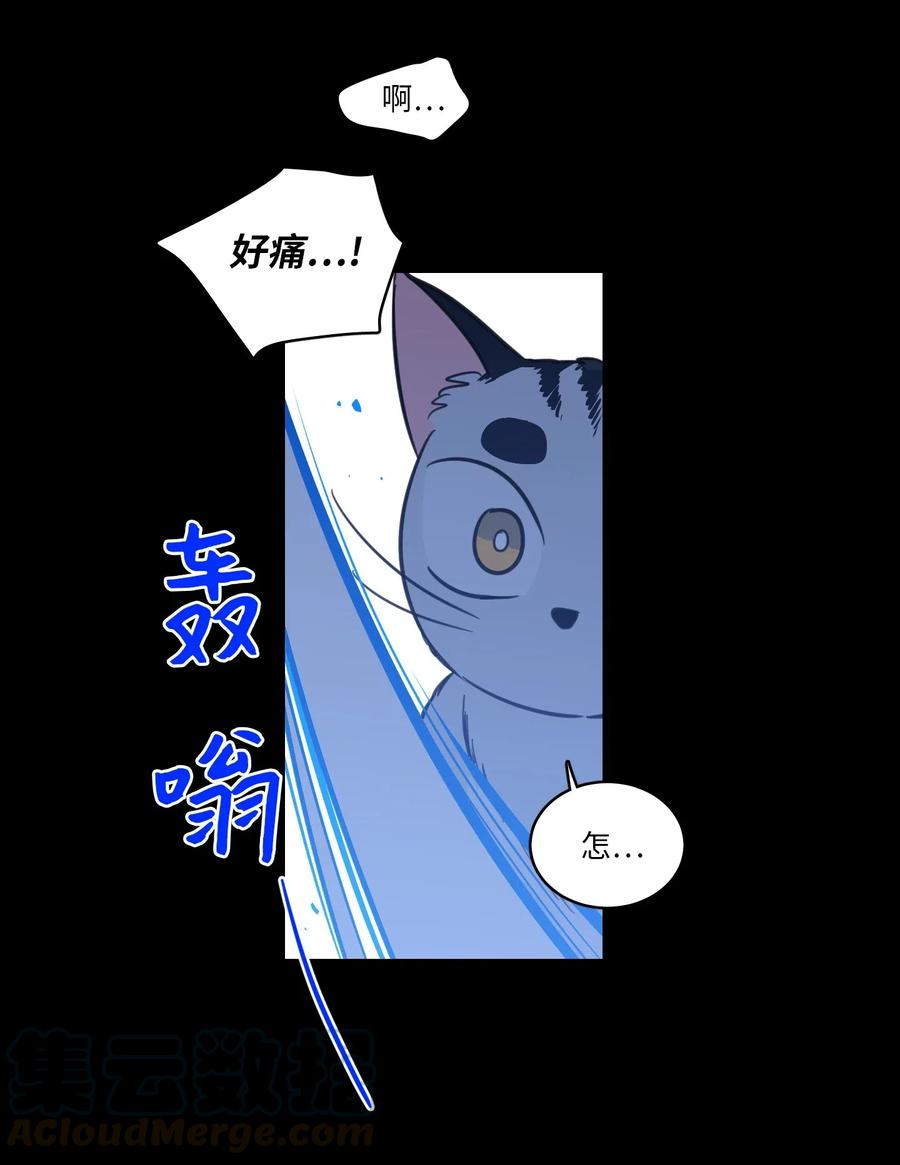 41 特别的力量-第41话