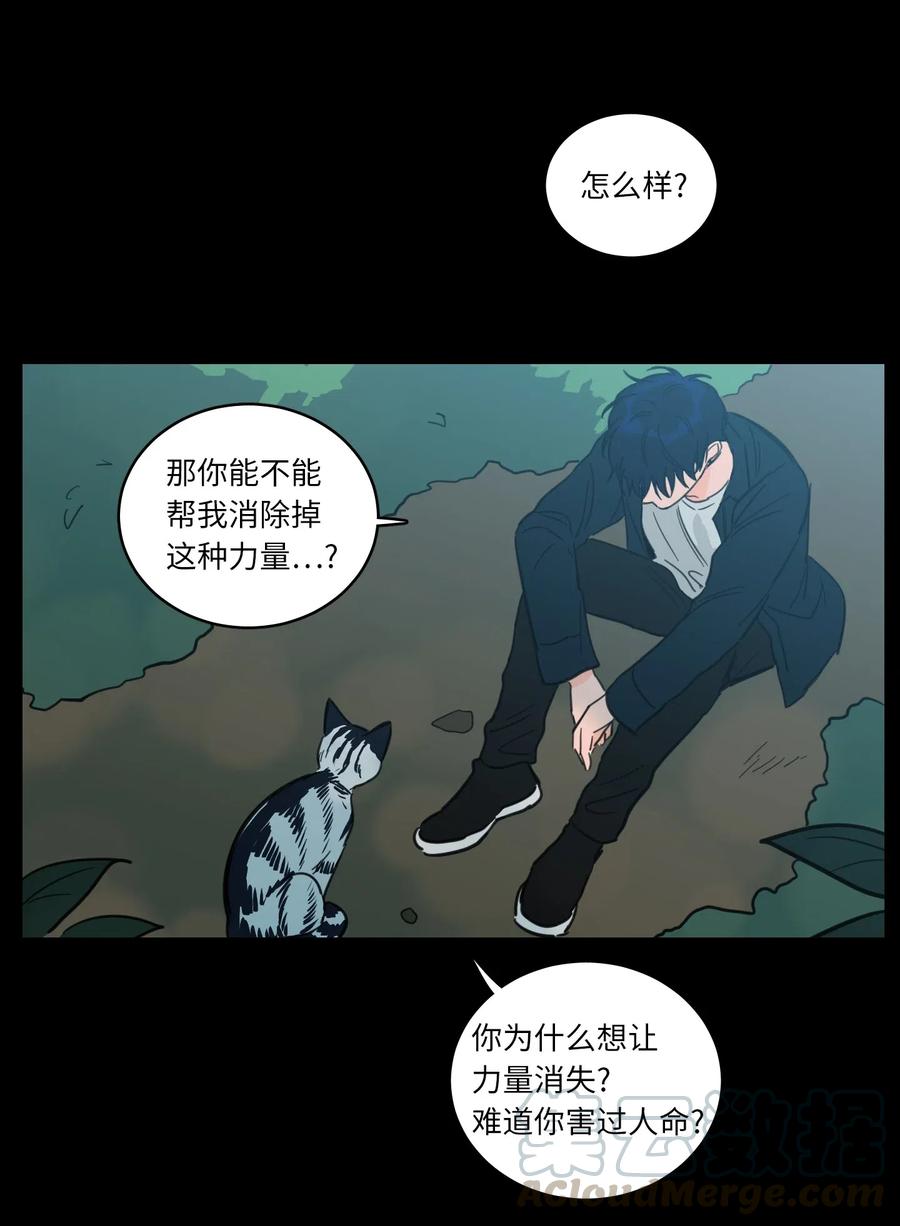 41 特别的力量-第41话