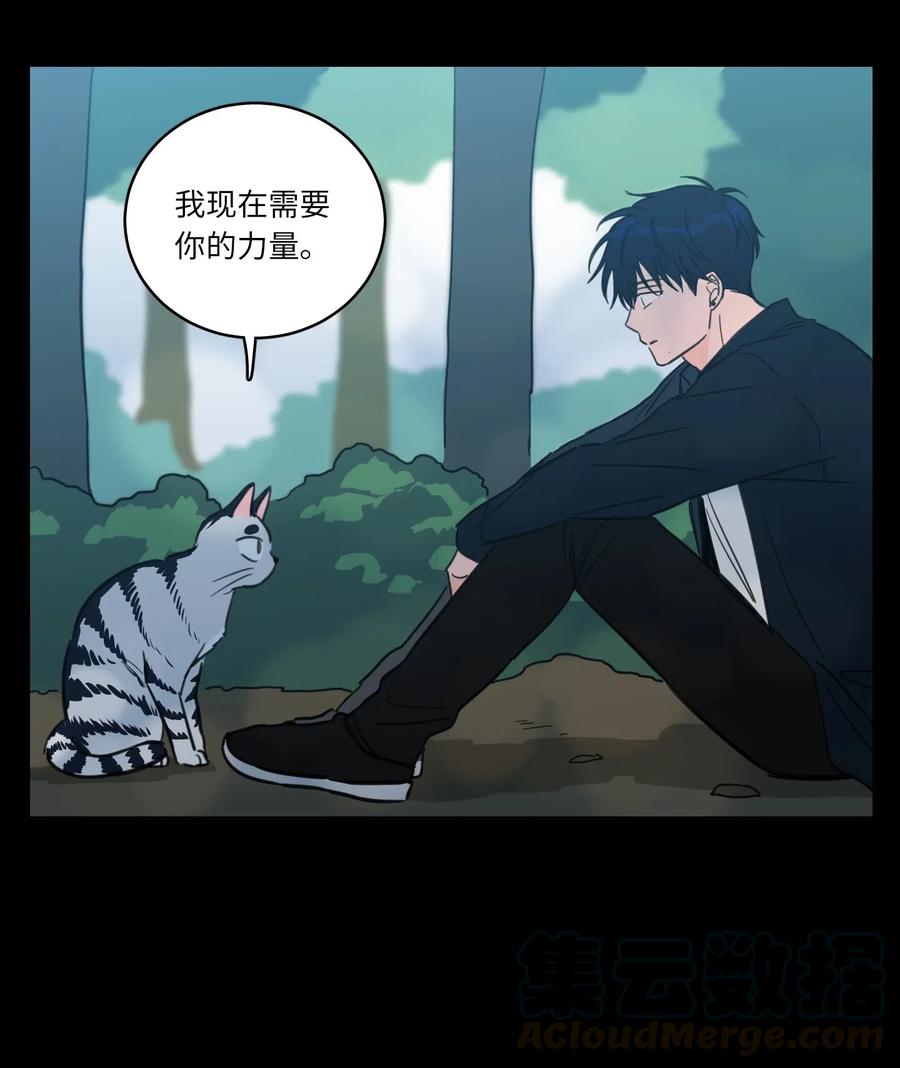 41 特别的力量-第41话