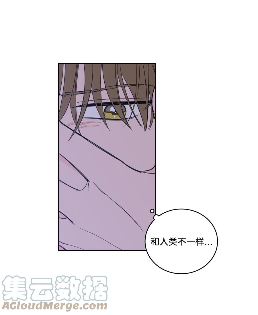 51 哥哥的谎言(1/2)-第51话
