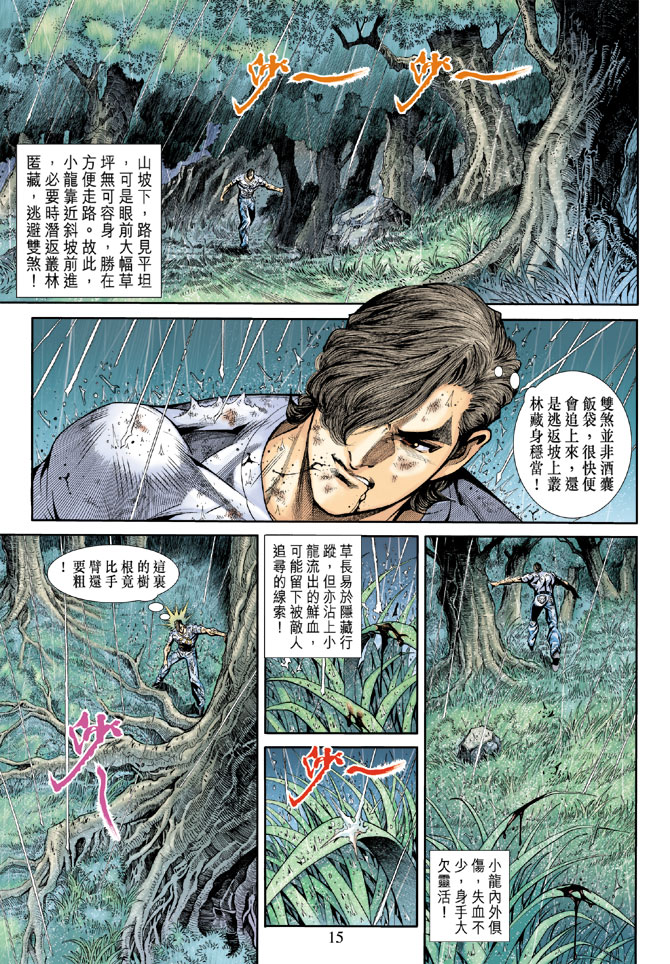 🍚新著龙虎门 第177回 第15页