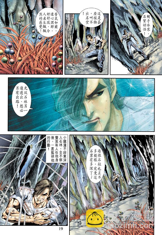 🍚新著龙虎门 第177回 第19页