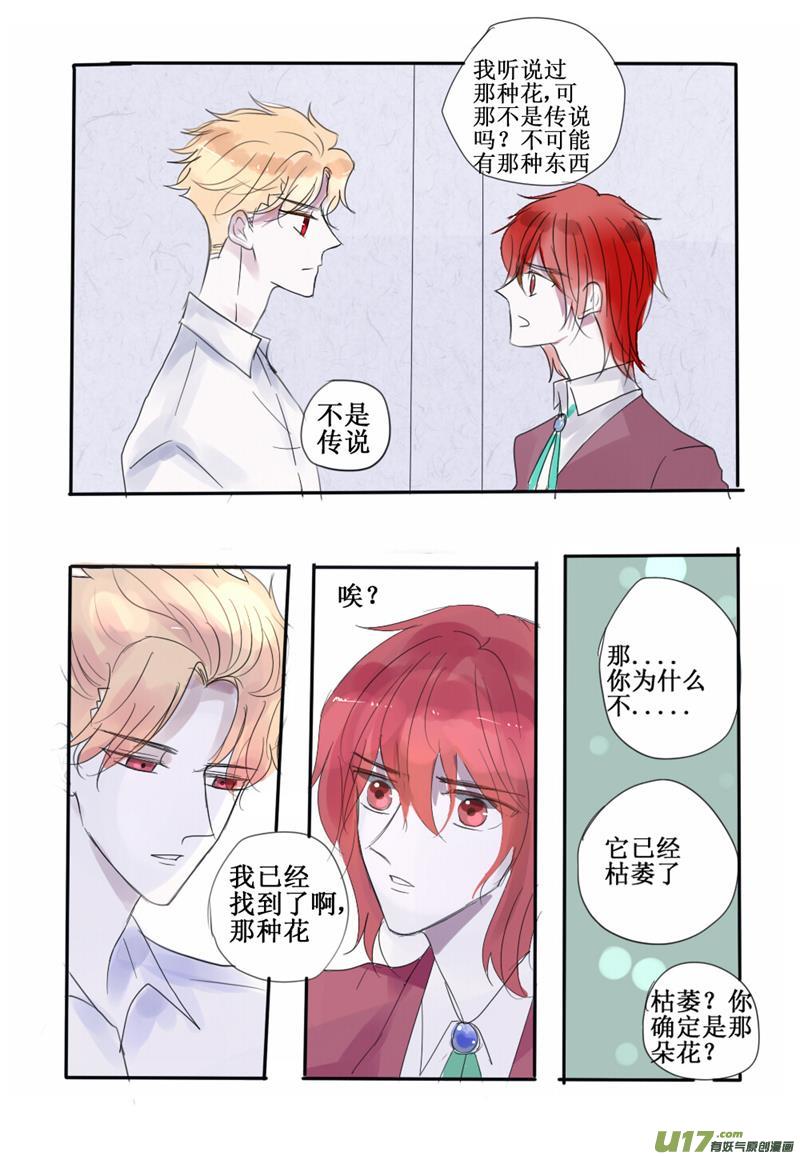 用血液灌溉的玫瑰-第65话