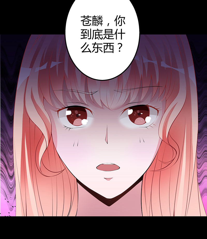 第3话 惊悚之夜-第3话