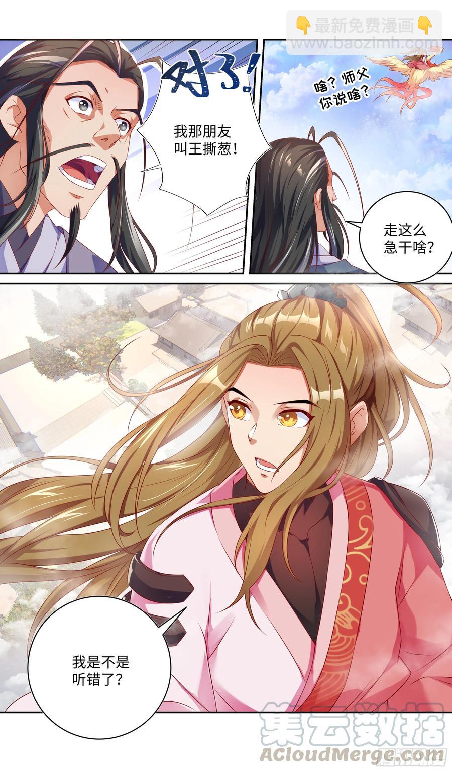 🍚系统逼我做反派 王什么葱？什么撕葱？王撕什么？ 第11页