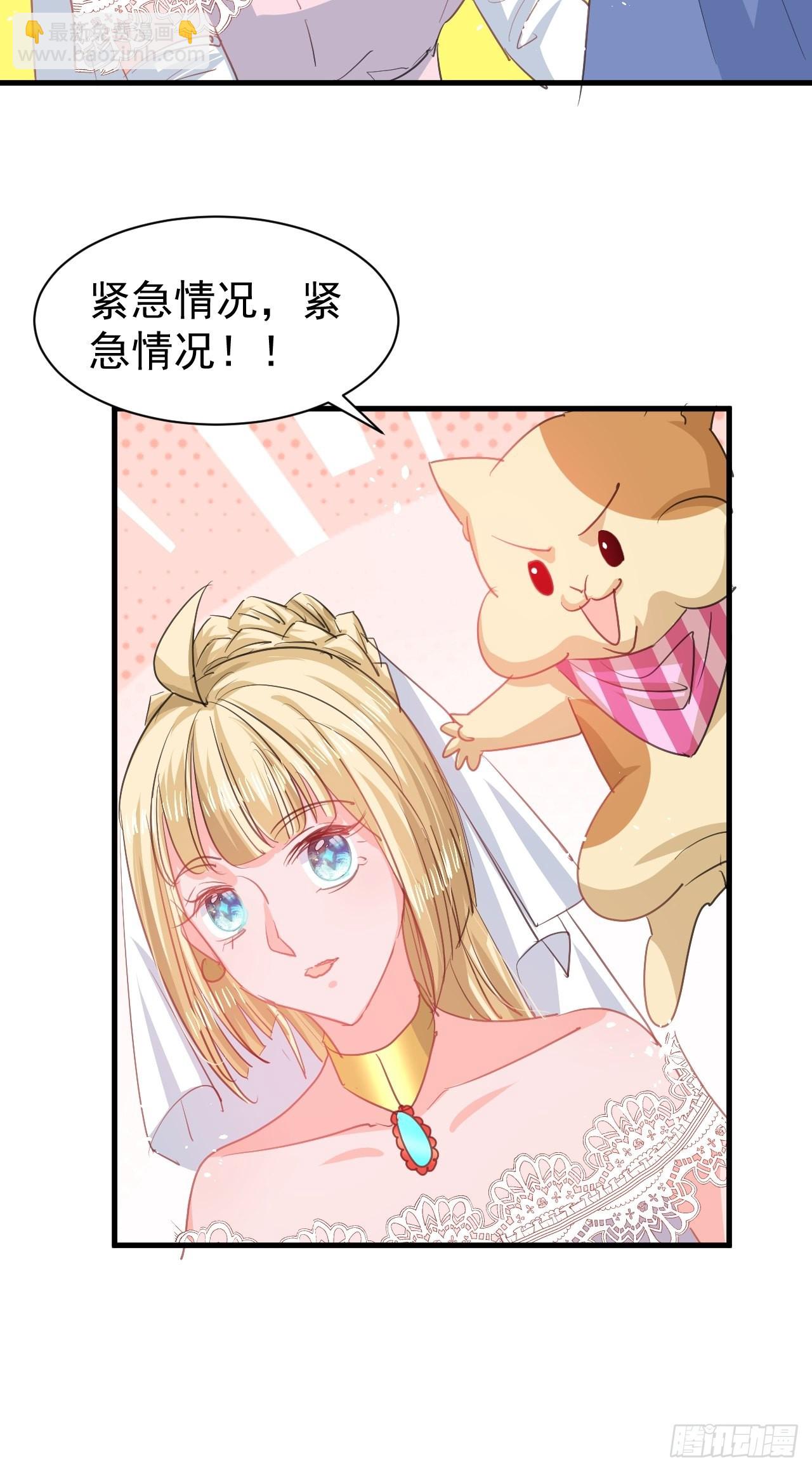 🍚系统之小公主攻略 第142话 结婚 第29页