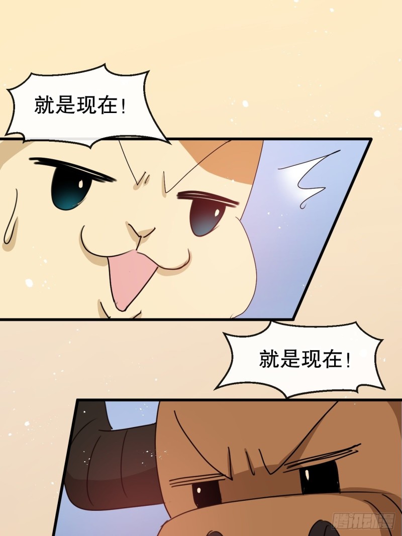 🍚系统之小公主攻略 第95话 偷袭？！ 第15页
