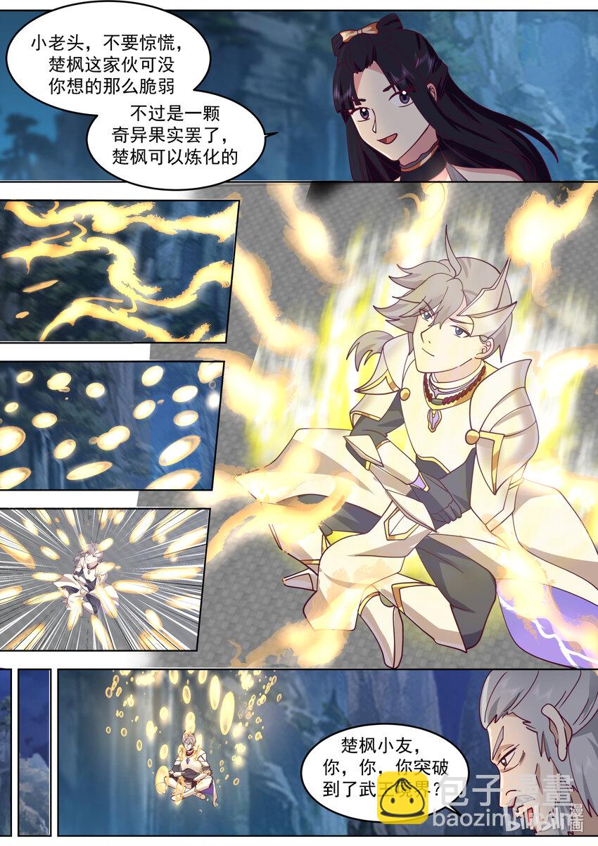 🍚修罗武神 656 九品武君 第5页