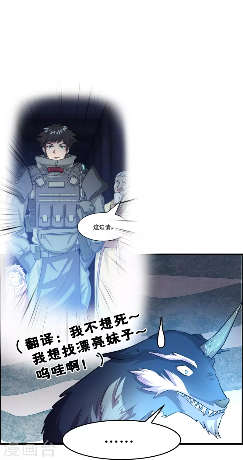 🍚修仙从带货开始 第26话 无敌猫薄荷 第25页