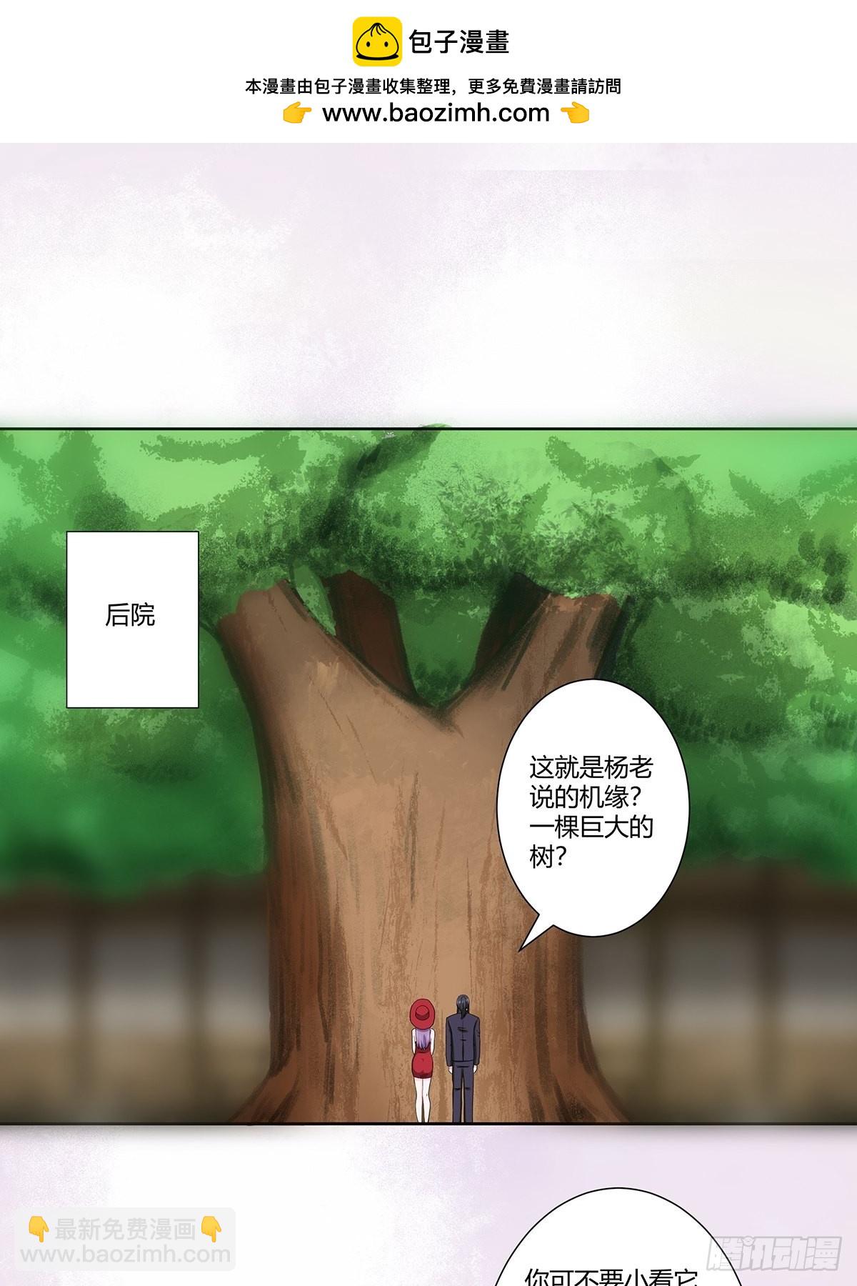 🍚修仙之人在都市 第66话 一场机缘？？ 第2页
