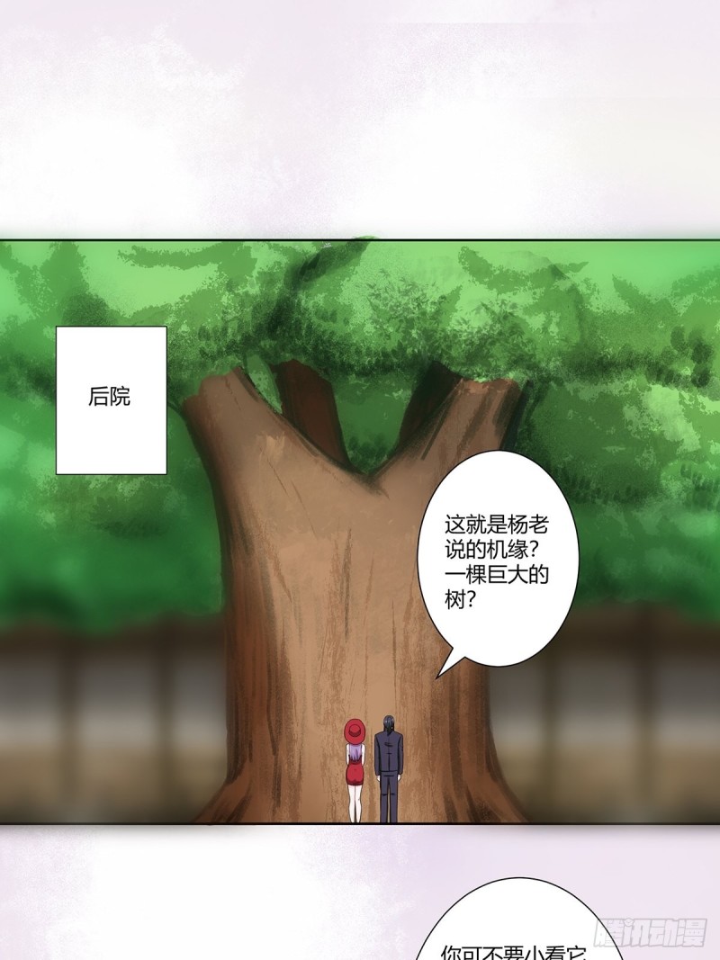 🍚修仙之人在都市（修仙修后宫） 第66话 一场机缘？？ 第2页